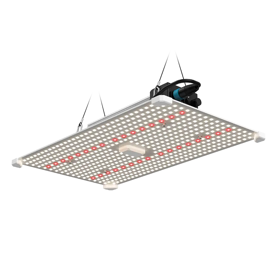 Black Blade 200W LED