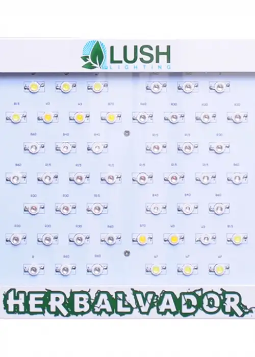 Herbal Vador