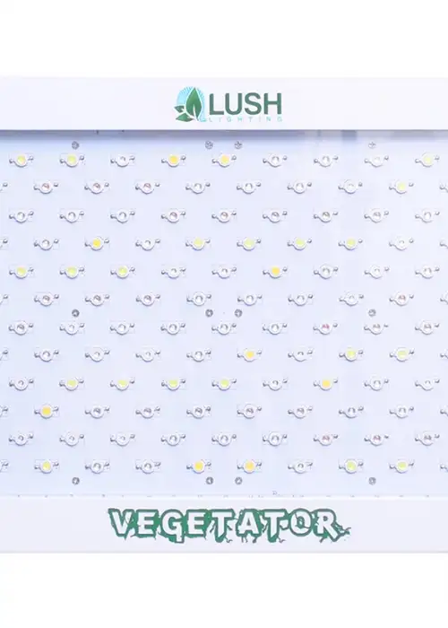 Vegetator