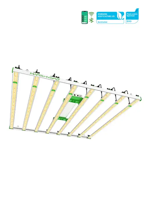 FC-E8000 800W LED