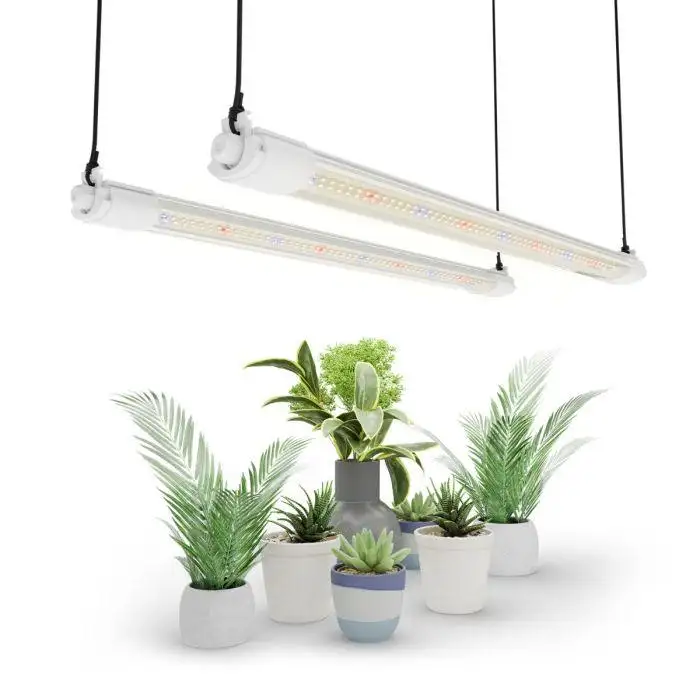 VG40 40W 2FT LED T5