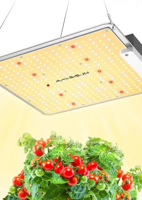 PB1000 Pro LED Grow Light
