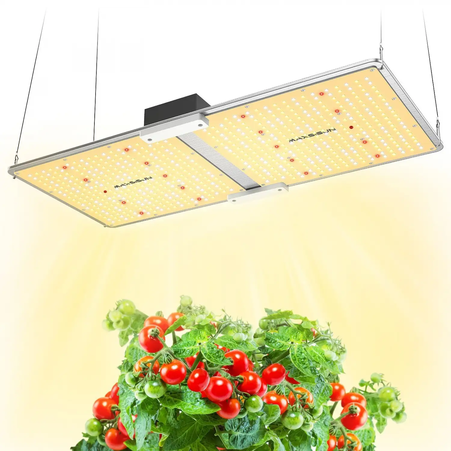 PB2000 Pro LED