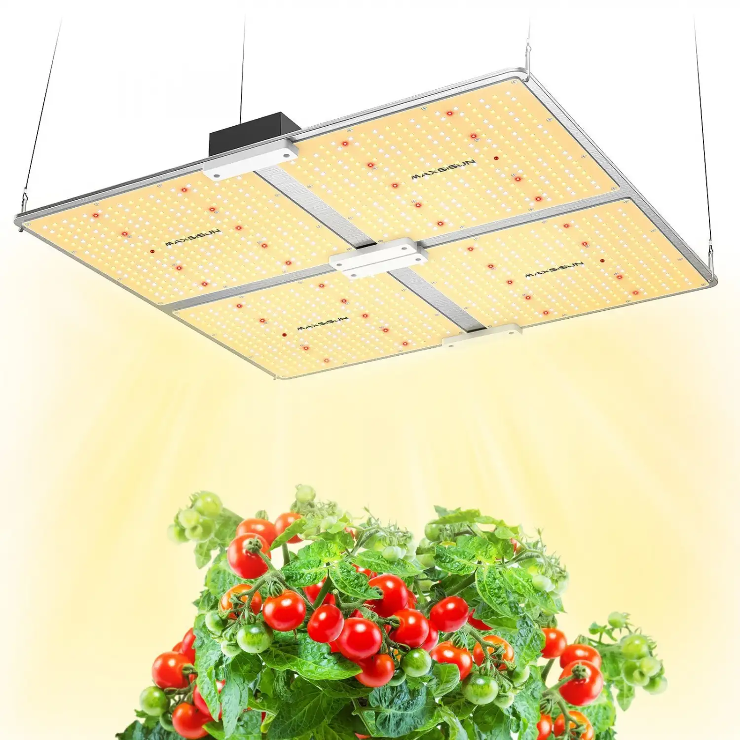 PB4000 Pro LED