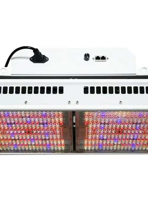 MJ GP 800W