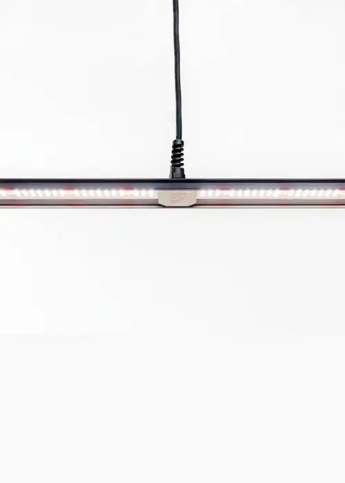 Migro Aray 1 LED Grow Light