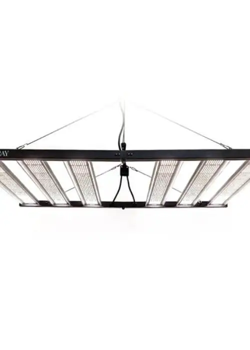 Aray 5X5 LED Grow Light