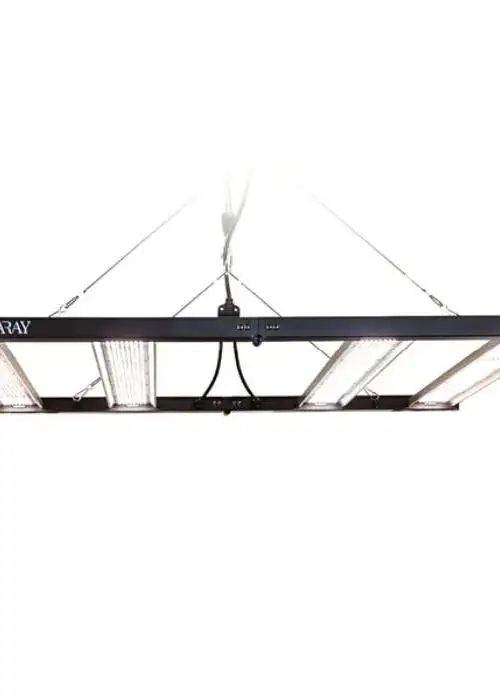 Aray 4X4 LED Grow Light