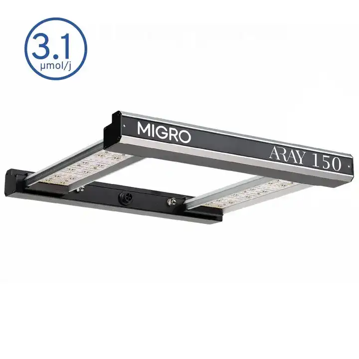 Aray 150