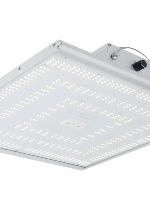 NextLight 150h