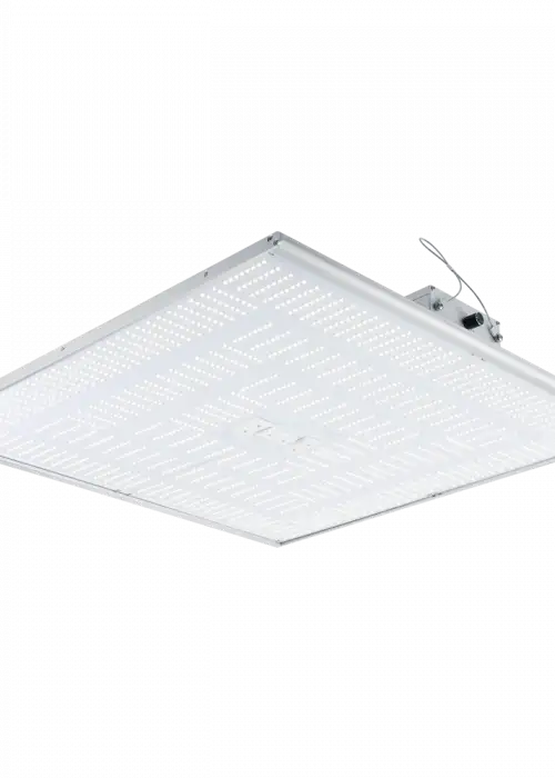 NextLight 420h