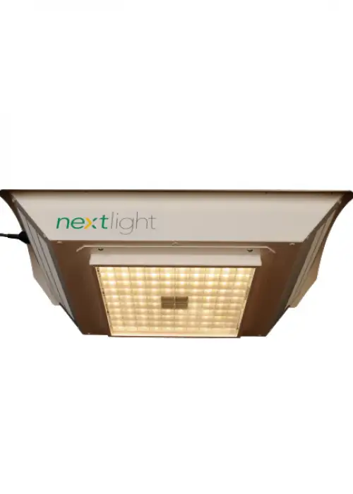 NextLight 525w