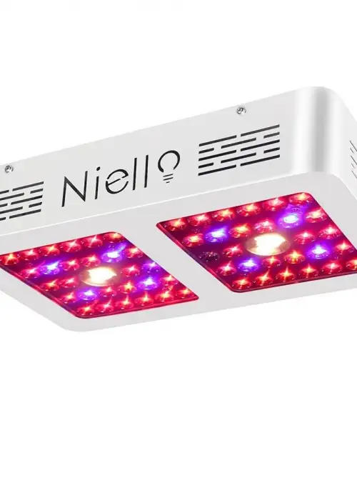 600W Cree COB