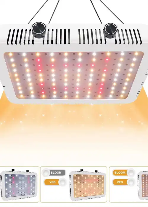 A300W