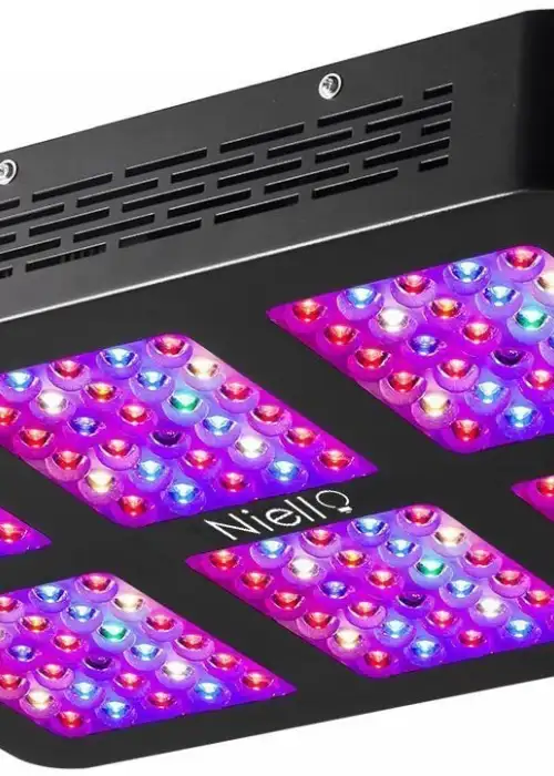 900W