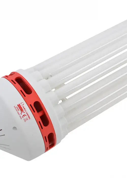 300W CFL