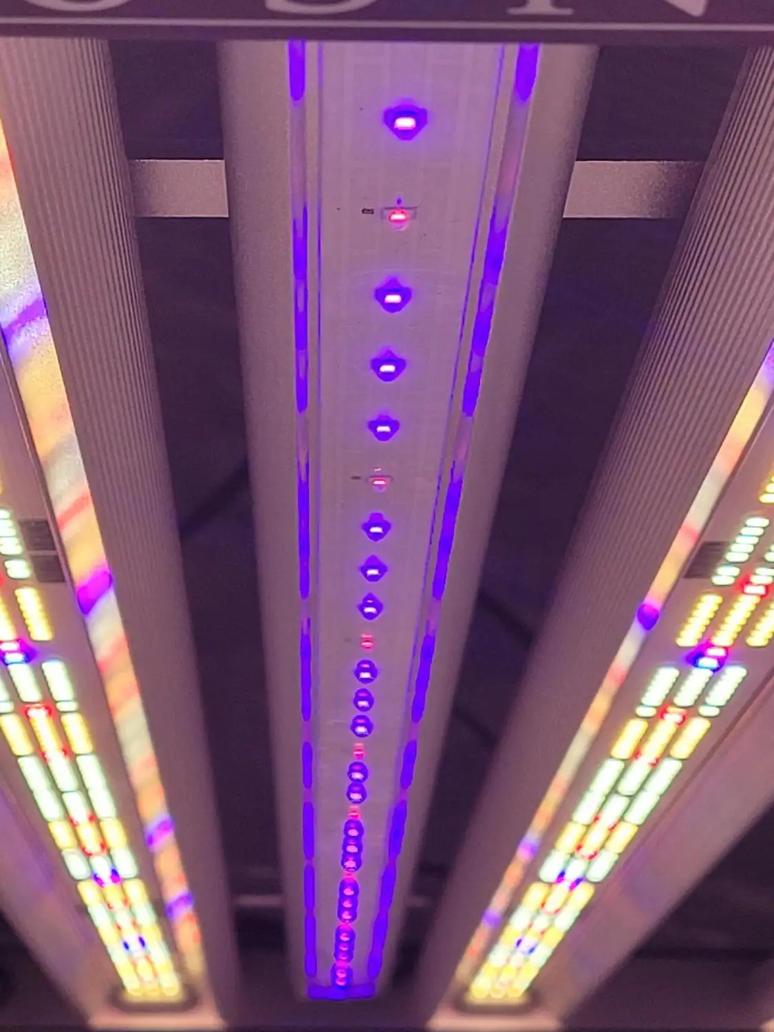 Slim 60 UV LED