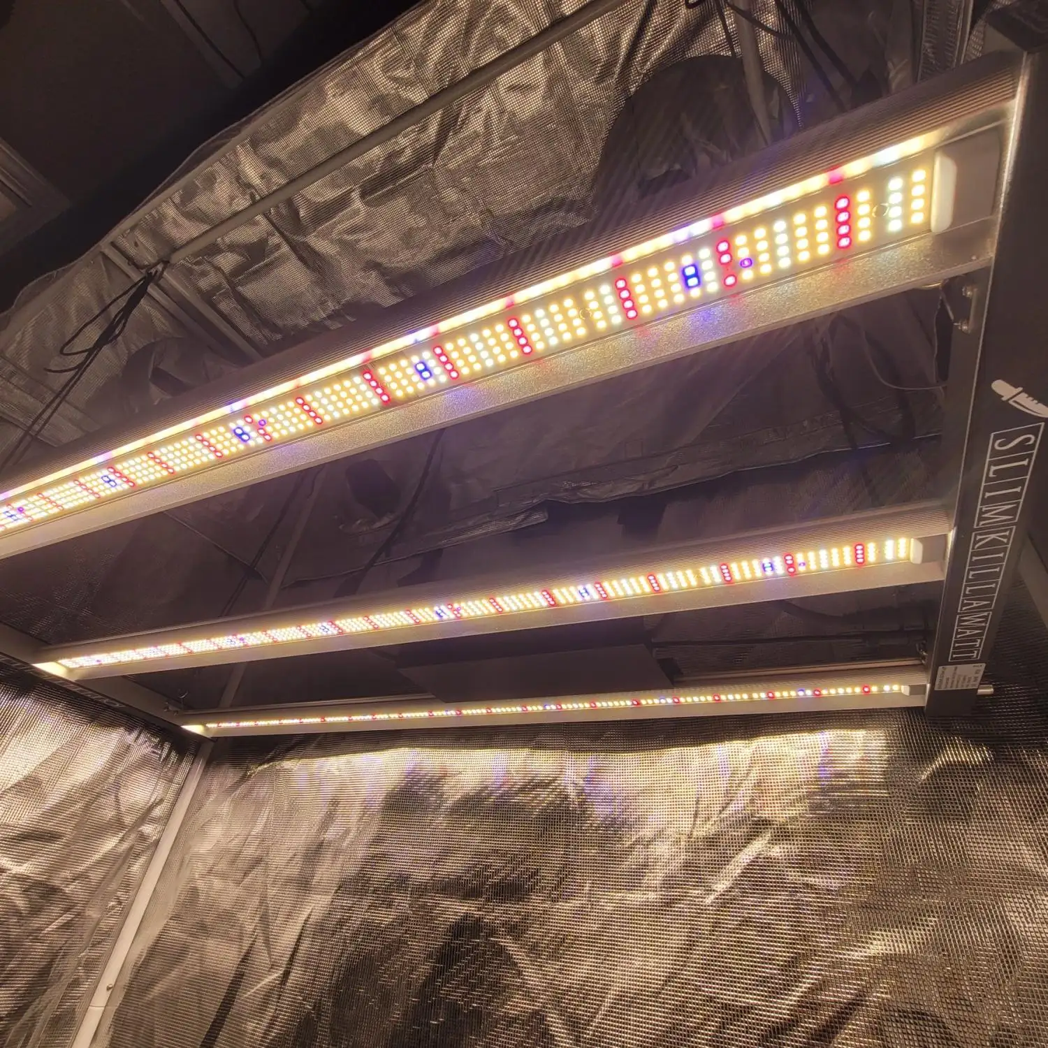 Slim Killa Watt 350 Bloom LED