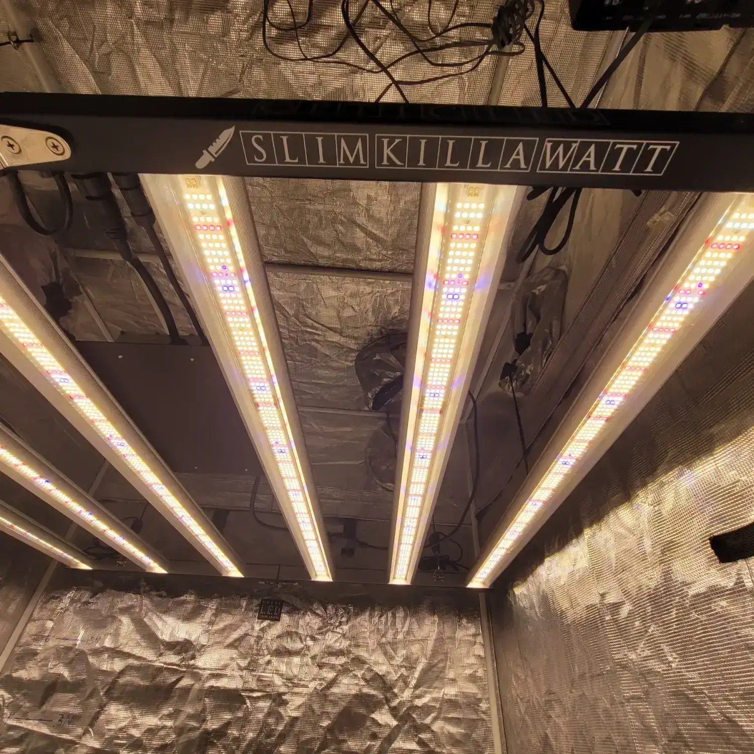 Slim Killa Watt 500 Bloom LED