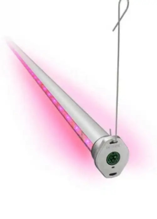 Interlighting Module