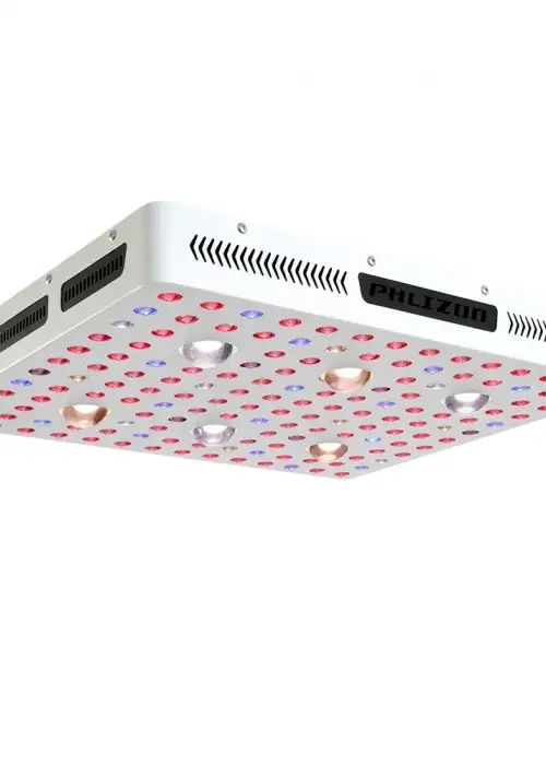 3000W CREE COB LED Grow Light