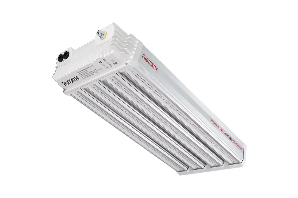 1050W GH Top LED (Red + Blue)