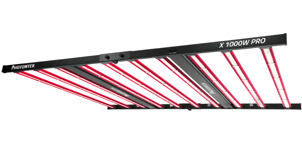 X 1000W Pro LED