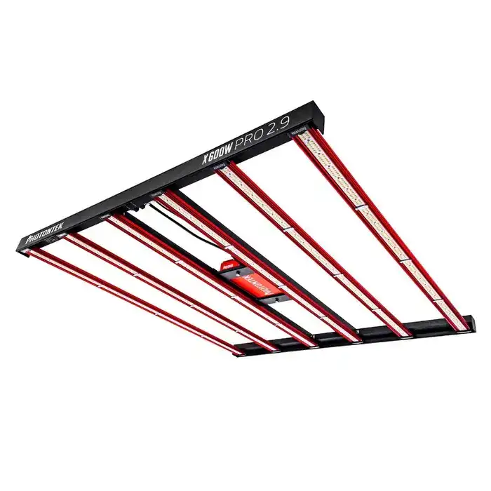 X 600W PRO 2.9 LED