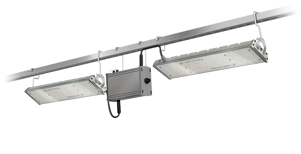 TriPlane Linear