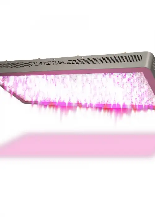 P1200 LED Grow Light