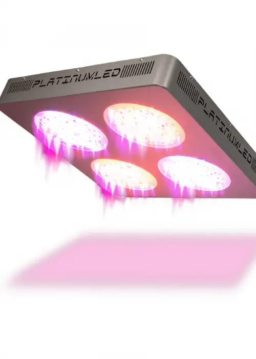 P4-XML2 LED Grow Light
