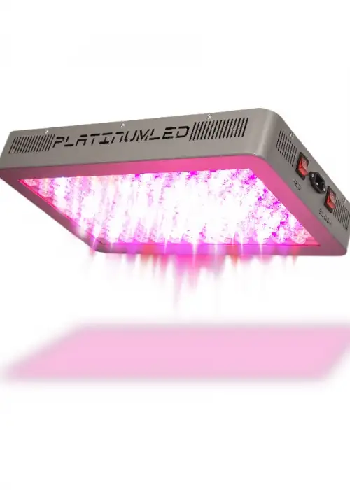 P450 LED Grow Light