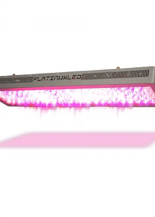 P600 LED Grow Light