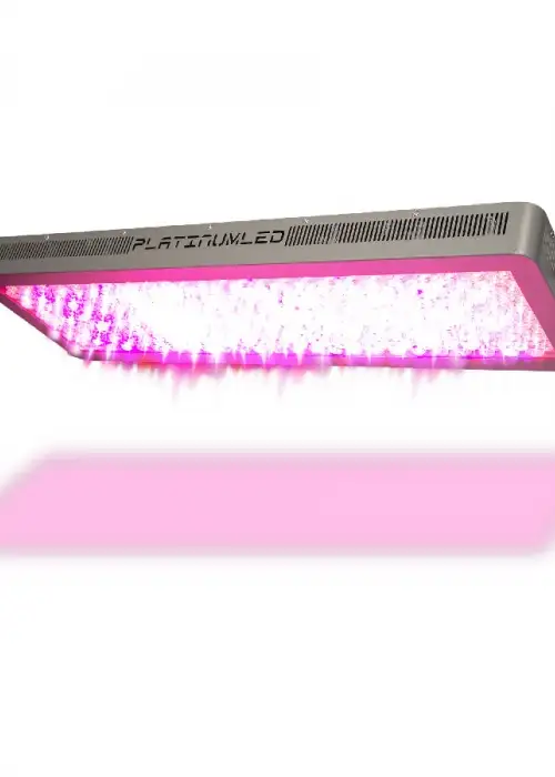 P900 LED Grow Light