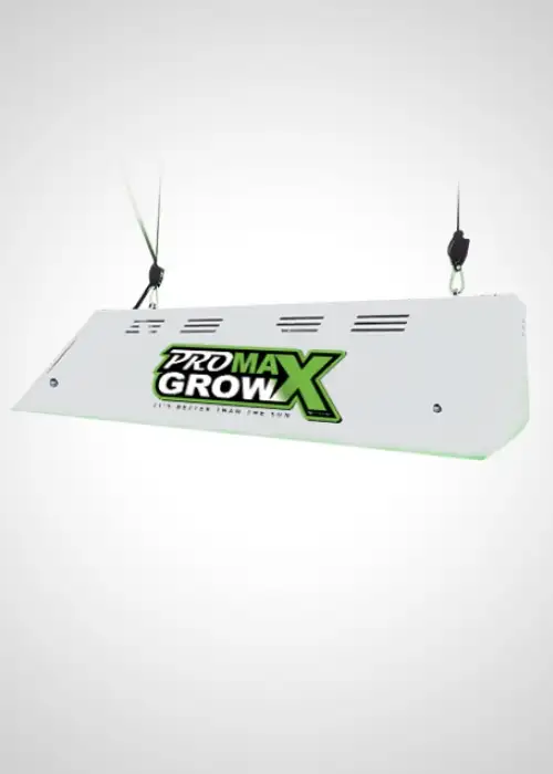 Max1200