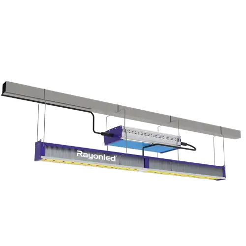 GHB-630