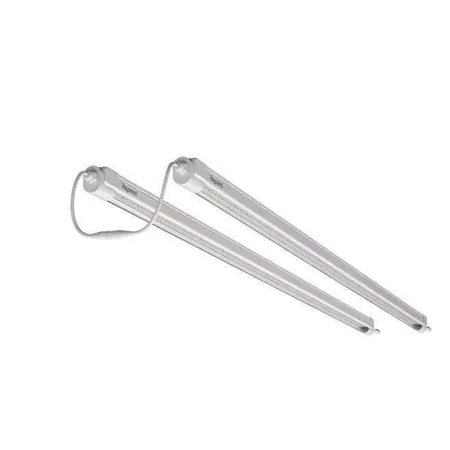 TBV-25 Clone Tubes (2 Pack)