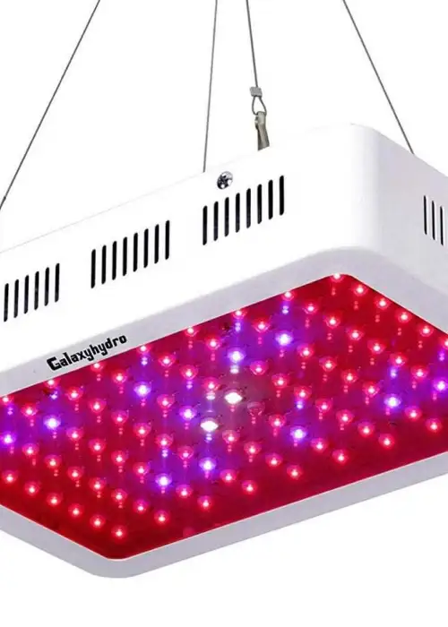 Roleadro Galaxyhydro 1000W