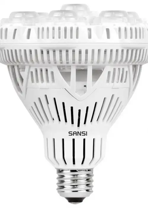 PAR30 36W LED