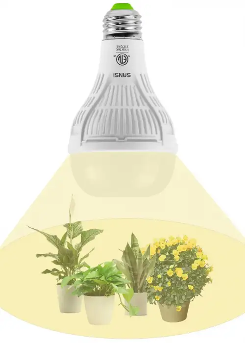 A21 15W LED