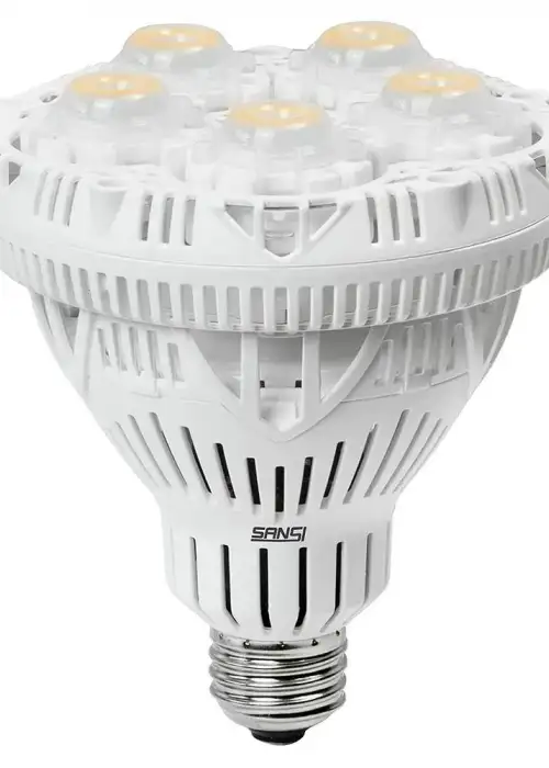 PAR30 24W LED