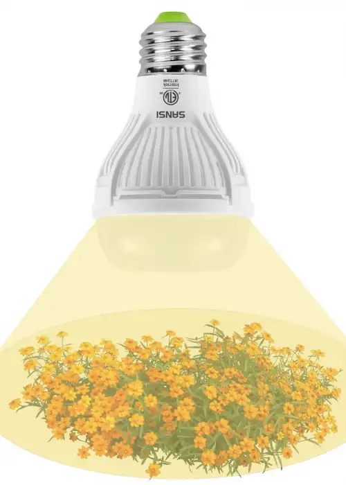 A19 10W LED