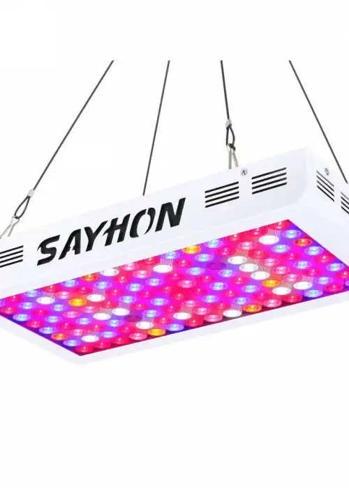 Sayhon 1200W Dual Chip