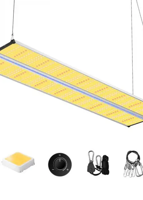 SH4000