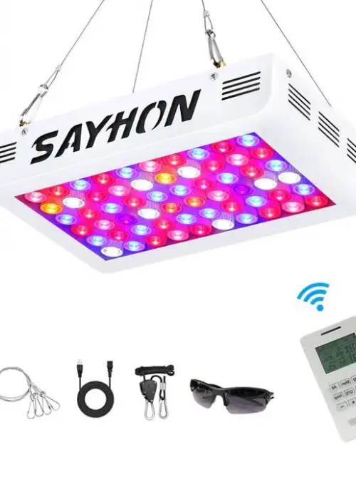 Sayhon 600W Dual Chip