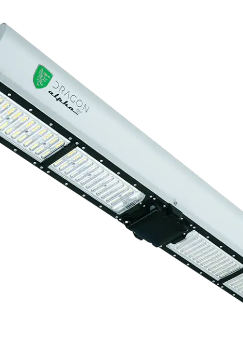 Dragon Alpha II