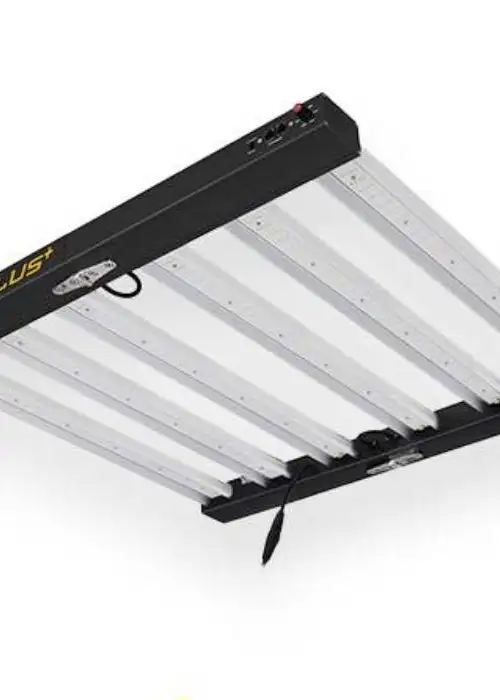 Force Plus 300W