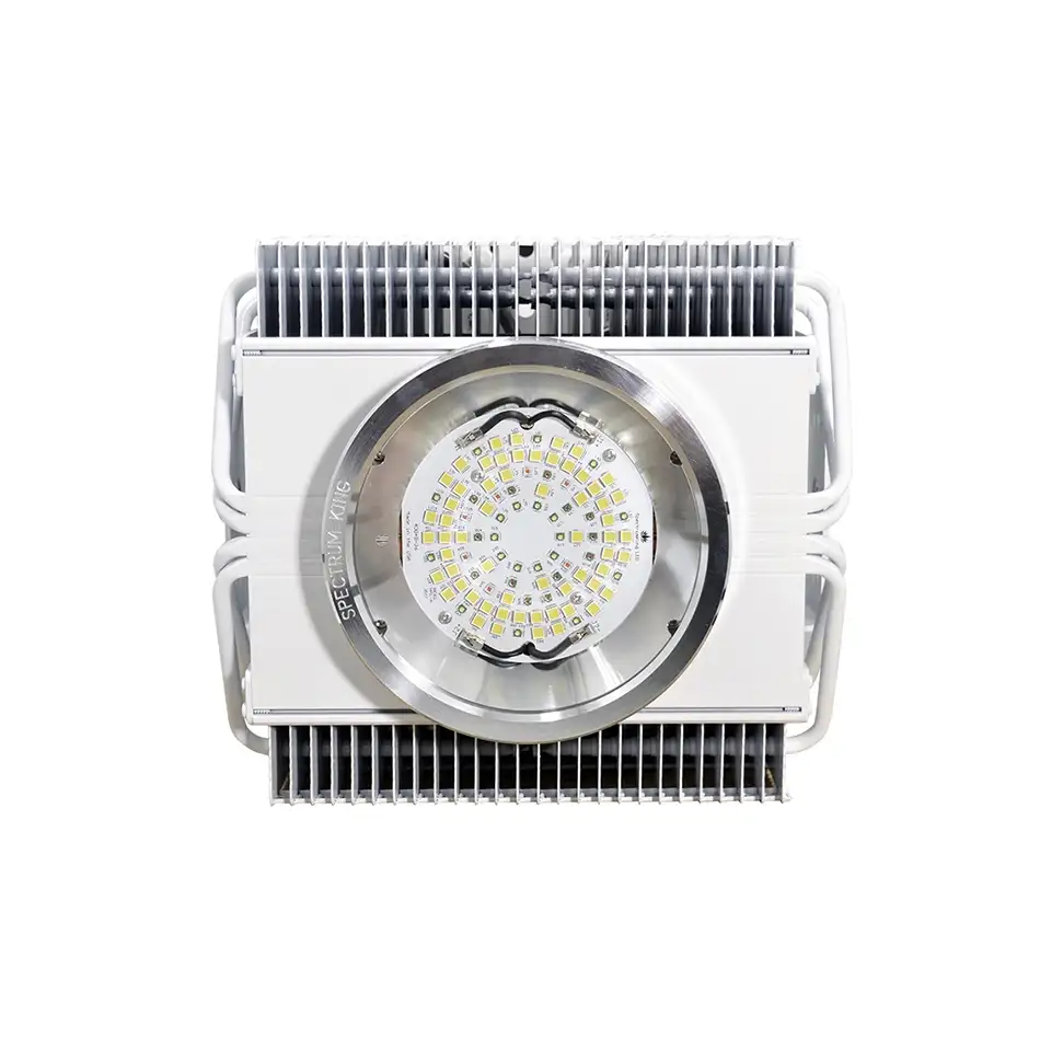 Spectrum King 402 LED 90˚ Ref / 240V