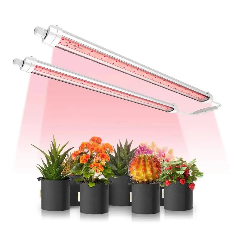 GlowR40