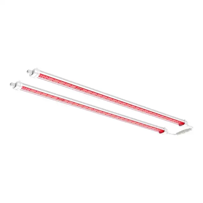 GlowR80